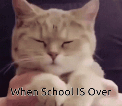 schoolsoutgif